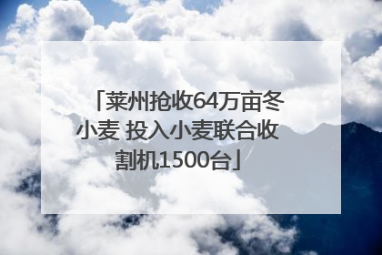 莱州抢收64万亩冬小麦 投入小麦联合收割机1500台