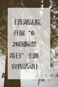 莲湖法院开展“6·26国际禁毒日”主题宣传活动
