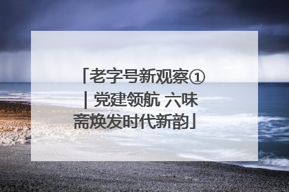 老字号新观察①｜党建领航 六味斋焕发时代新韵
