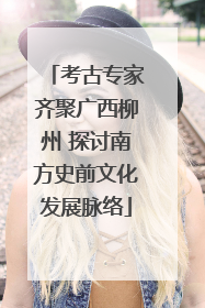 考古专家齐聚广西柳州 探讨南方史前文化发展脉络