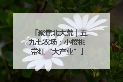 聚焦北大荒｜五九七农场：小樱桃带红“大产业”