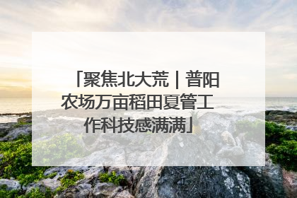 聚焦北大荒｜普阳农场万亩稻田夏管工作科技感满满