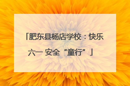 肥东县杨店学校：快乐六一 安全“童行”