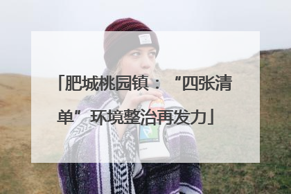 肥城桃园镇：“四张清单”环境整治再发力
