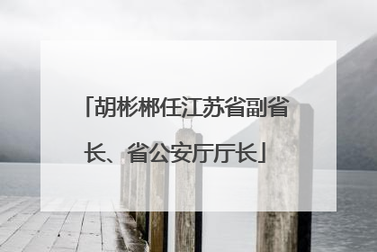 胡彬郴任江苏省副省长、省公安厅厅长