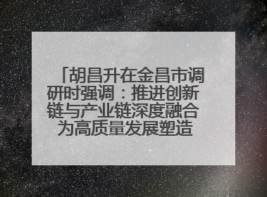 胡昌升在金昌市调研时强调：推进创新链与产业链深度融合 为高质量发展塑造新动能新优势