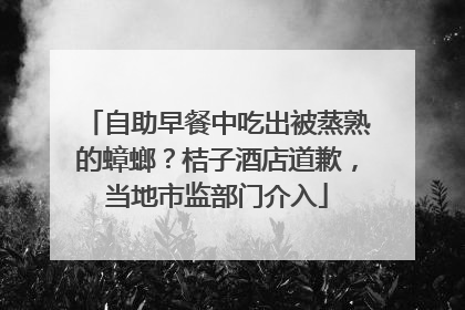 自助早餐中吃出被蒸熟的蟑螂？桔子酒店道歉，当地市监部门介入