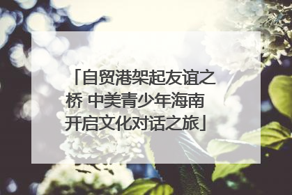自贸港架起友谊之桥 中美青少年海南开启文化对话之旅