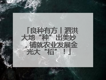 良种有方丨泗洪大地“种”出美妙，铺就农业发展金光大“稻”！