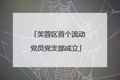 芙蓉区首个流动党员党支部成立