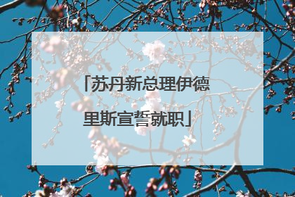 苏丹新总理伊德里斯宣誓就职
