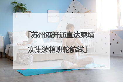 苏州港开通直达柬埔寨集装箱班轮航线