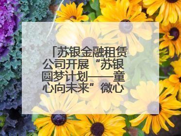 苏银金融租赁公司开展“苏银圆梦计划——童心向未来”微心愿捐赠活动