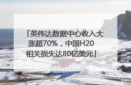 英伟达数据中心收入大涨超70%，中国H20相关损失达80亿美元