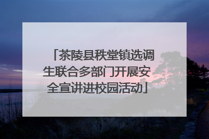 茶陵县秩堂镇选调生联合多部门开展安全宣讲进校园活动