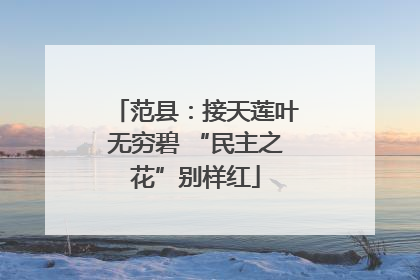 范县：接天莲叶无穷碧 “民主之花”别样红