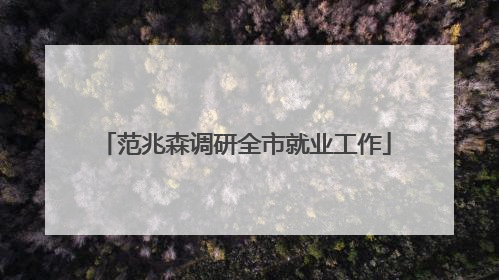 范兆森调研全市就业工作