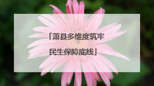萧县多维度筑牢民生保障底线