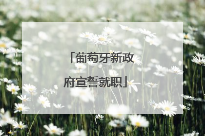 葡萄牙新政府宣誓就职
