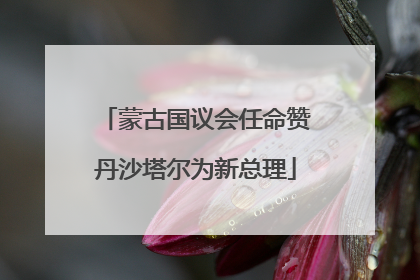 蒙古国议会任命赞丹沙塔尔为新总理