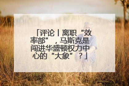 评论丨离职“效率部”，马斯克是闯进华盛顿权力中心的“大象”？