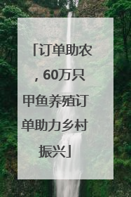 订单助农，60万只甲鱼养殖订单助力乡村振兴