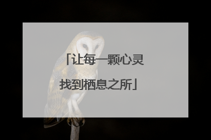 让每一颗心灵找到栖息之所