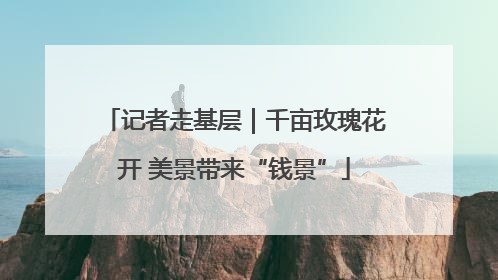 记者走基层｜千亩玫瑰花开 美景带来“钱景”
