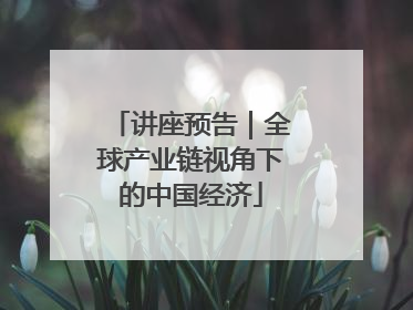 讲座预告｜全球产业链视角下的中国经济