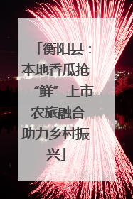 衡阳县：本地香瓜抢“鲜”上市 农旅融合助力乡村振兴