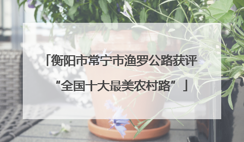 衡阳市常宁市渔罗公路获评“全国十大最美农村路”