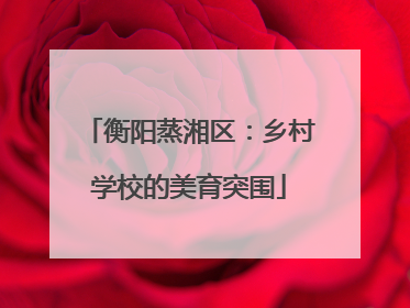 衡阳蒸湘区：乡村学校的美育突围