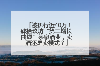 被执行近40万！肆拾玖坊“第二增长曲线”茅泉酒业，卖酒还是卖模式？