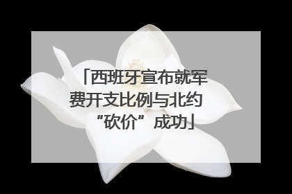 西班牙宣布就军费开支比例与北约“砍价”成功