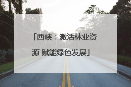 西峡：激活林业资源 赋能绿色发展