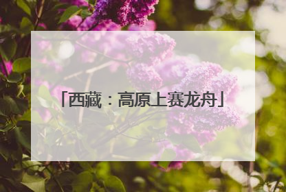 西藏：高原上赛龙舟