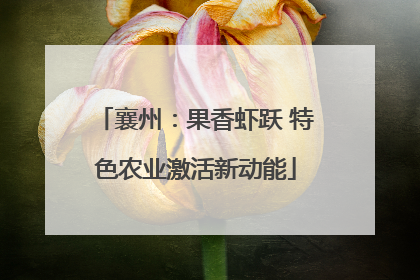 襄州：果香虾跃 特色农业激活新动能