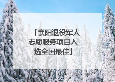 襄阳退役军人志愿服务项目入选全国最佳