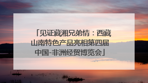 见证藏湘兄弟情：西藏山南特色产品亮相第四届中国-非洲经贸博览会