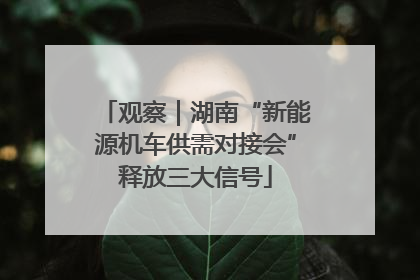 观察｜湖南“新能源机车供需对接会”释放三大信号