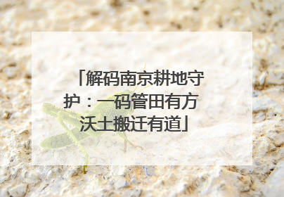 解码南京耕地守护：一码管田有方 沃土搬迁有道