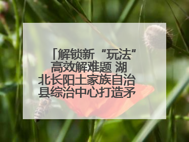解锁新“玩法” 高效解难题 湖北长阳土家族自治县综治中心打造矛盾纠纷调处“终点站”