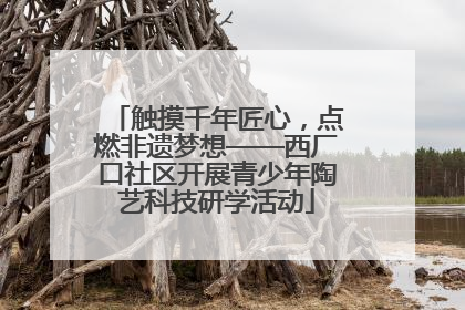 触摸千年匠心，点燃非遗梦想——西厂口社区开展青少年陶艺科技研学活动