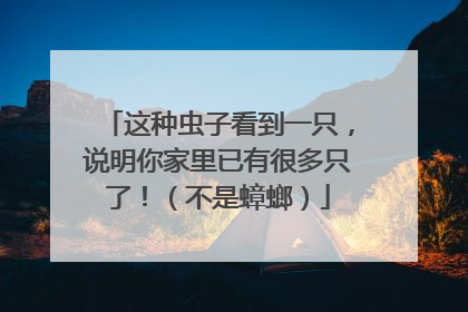 这种虫子看到一只，说明你家里已有很多只了！（不是蟑螂）