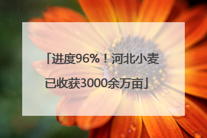 进度96%！河北小麦已收获3000余万亩