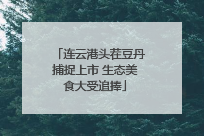 连云港头茬豆丹捕捉上市 生态美食大受追捧