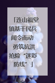连山福堂镇基干民兵闻令而动  勇筑抗洪抢险“迷彩防线”