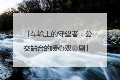 车轮上的守望者：公交站台的暖心双幕剧