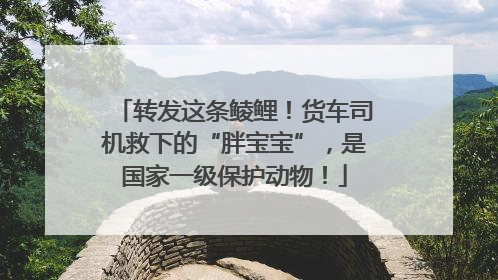 转发这条鲮鲤！货车司机救下的“胖宝宝”，是国家一级保护动物！