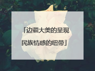 边疆大美的呈现 民族情感的纽带
